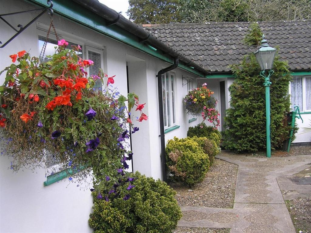 The Willow House Watton Exterior photo